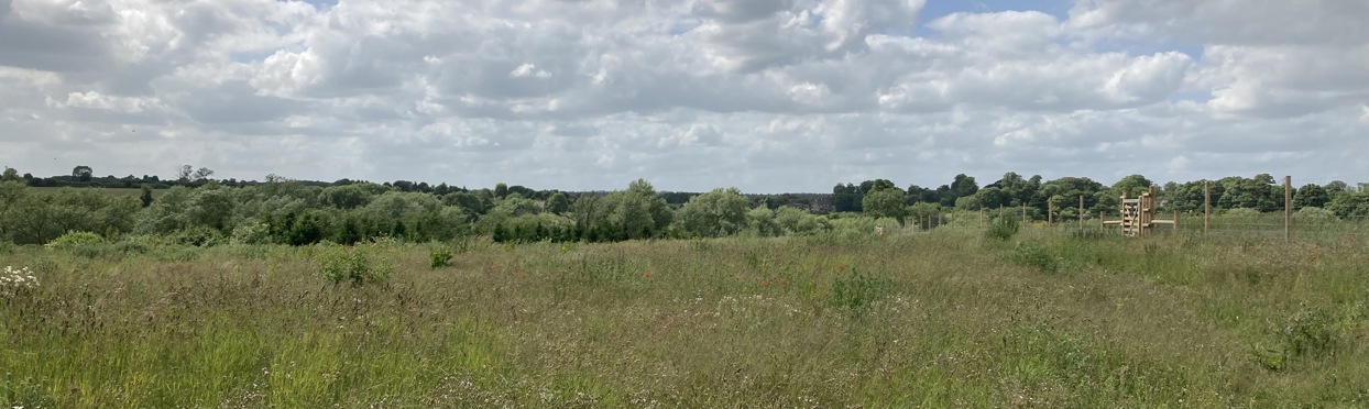 Image of Dorn and Glyme Valley