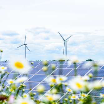 Image of Solar Panels on UK field