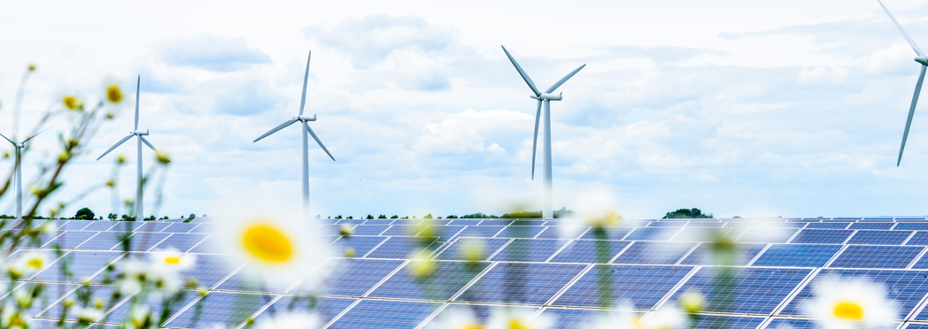 Image of Solar Panels on UK field