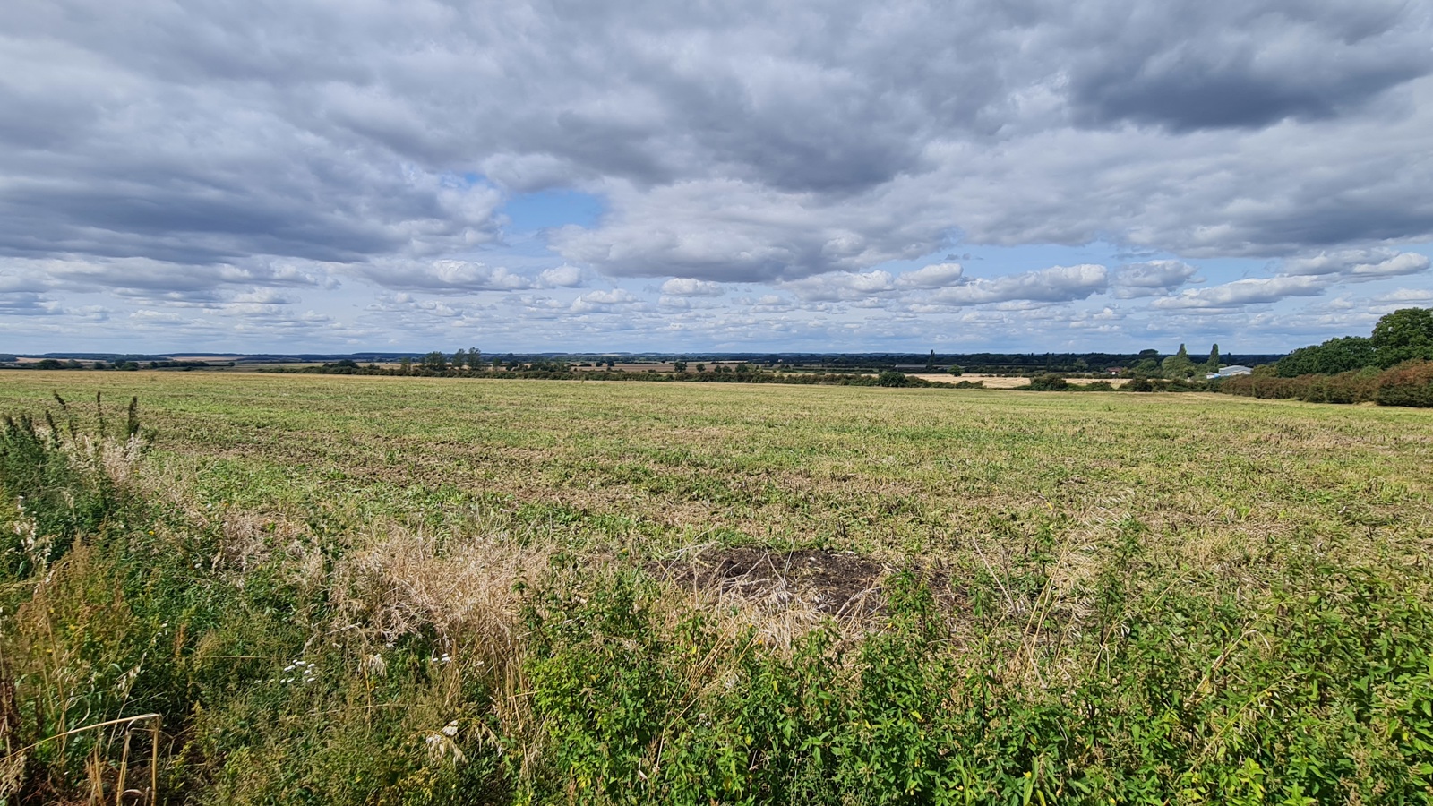 Image of 20230825_121435