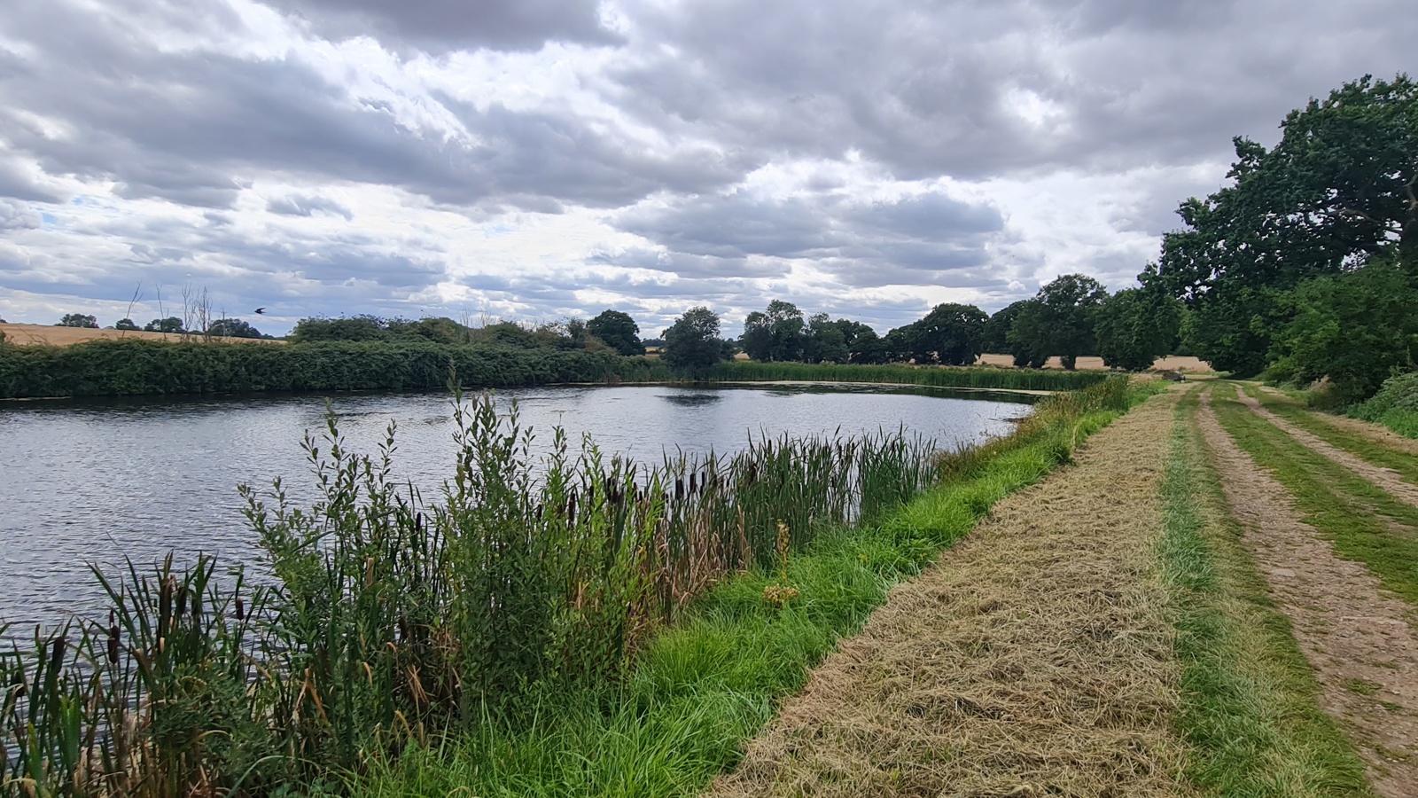 Image of Kingsland Farm