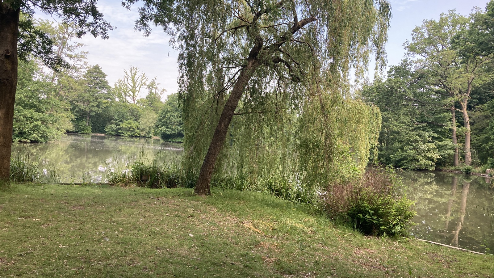 Image of Aldenham Estate- Home Farm-Lake (1)