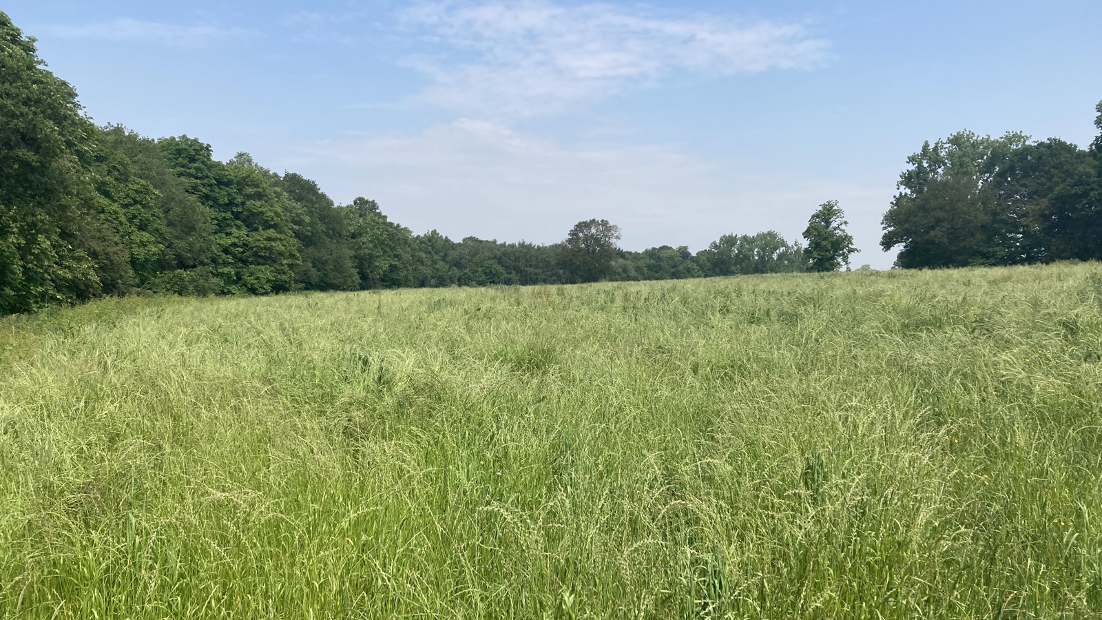 Image of Aldenham Estate - Home Farm - Middlefields (4)