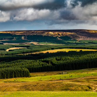 Image of Southdean-Hawick-Scottish-Borders