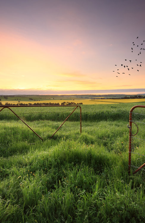 Rural-background2