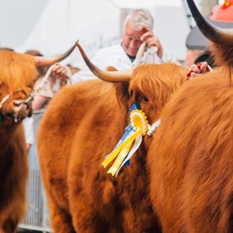 sunday-royal-highland-show-2019-81