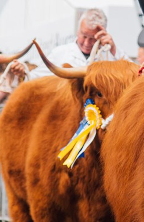 sunday-royal-highland-show-2019-81