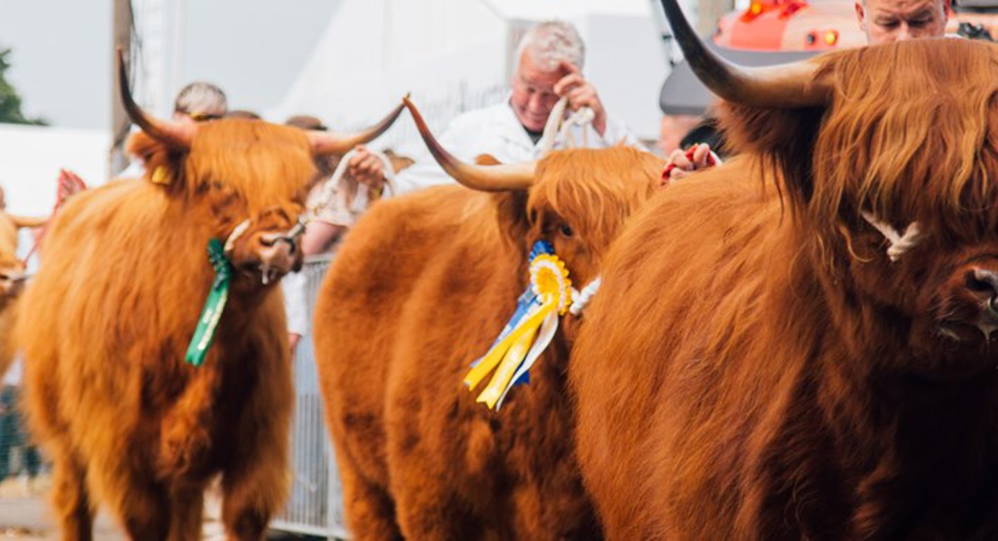 sunday-royal-highland-show-2019-81