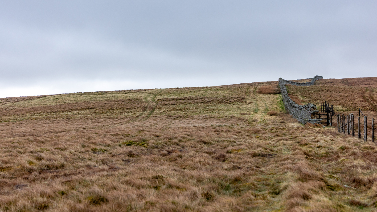 Image of Swinhope Head - EG - 25 -1