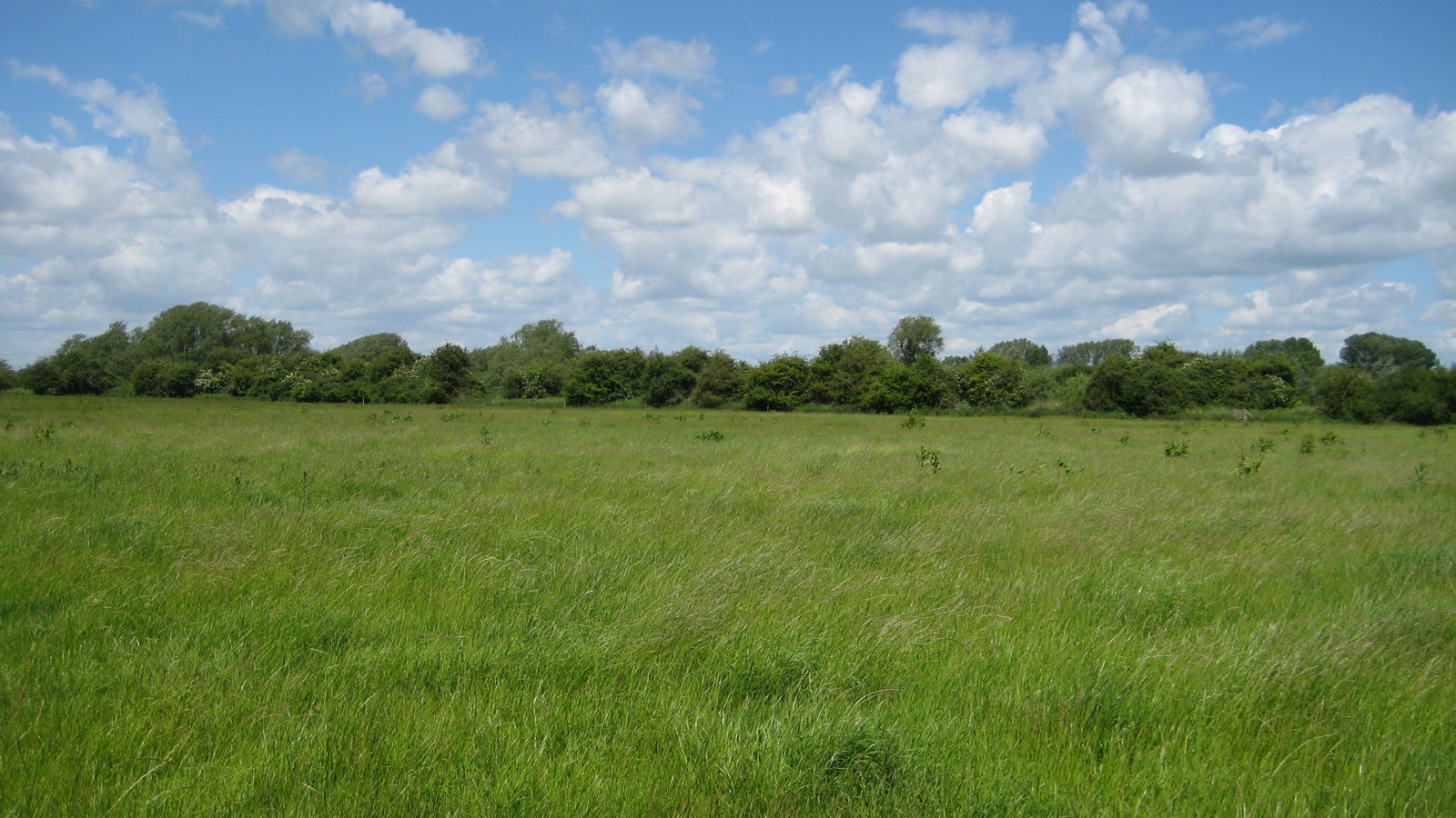 Image of Duxford 2