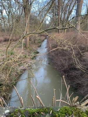 South Cambridgeshire, Uttlesford picture 2