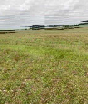 Lower Valley Farm, Fulbourn