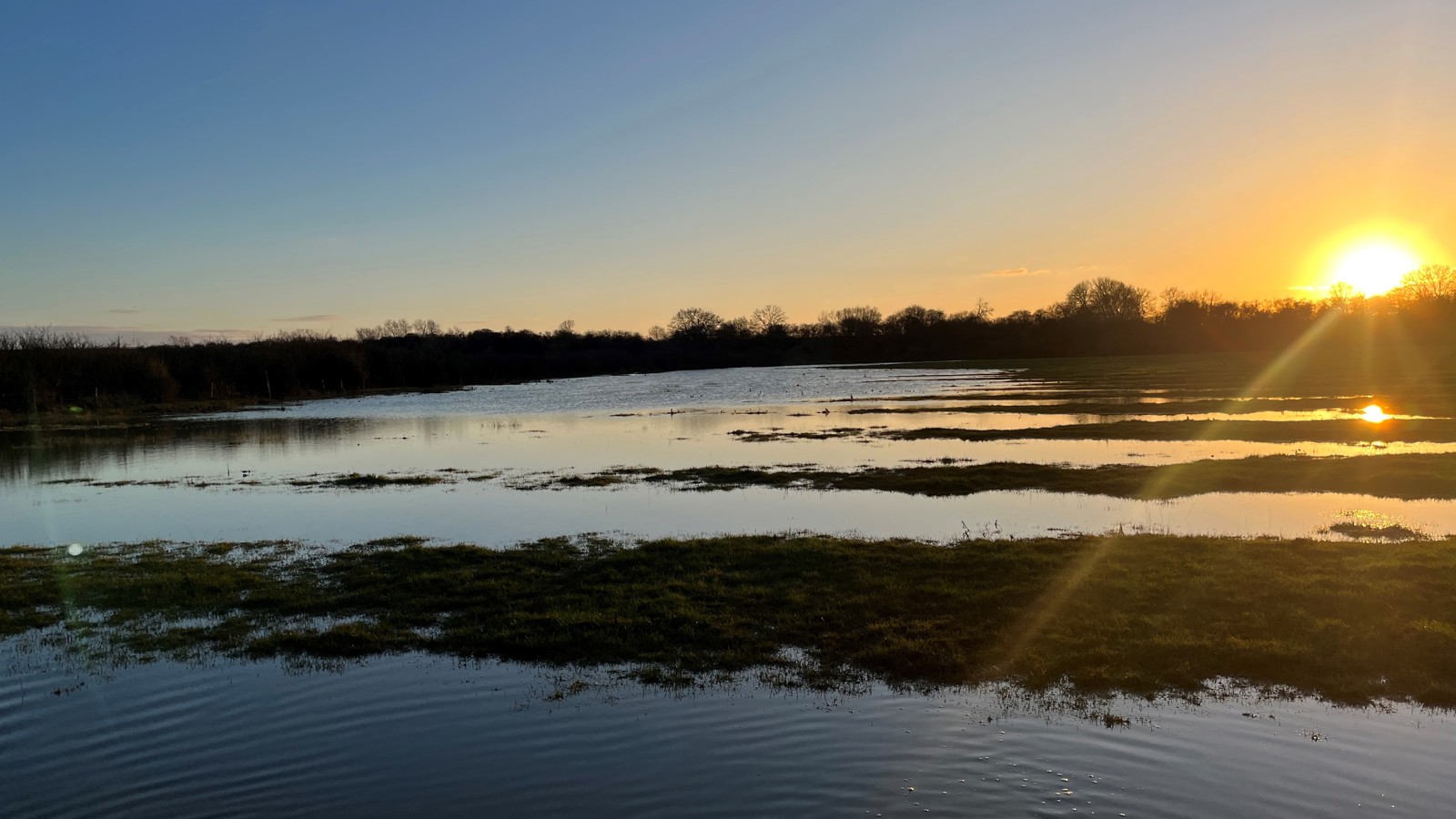 Image of Wetland