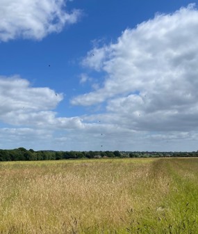 Market Weston, Bury Road