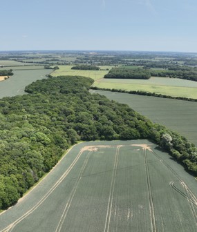 Priory Farm, Widford