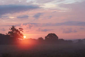 Horsham, South Downs National Park picture 4