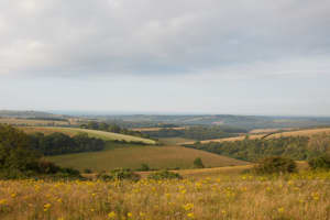 Horsham, South Downs National Park picture 6