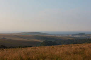 Horsham, South Downs National Park picture 1