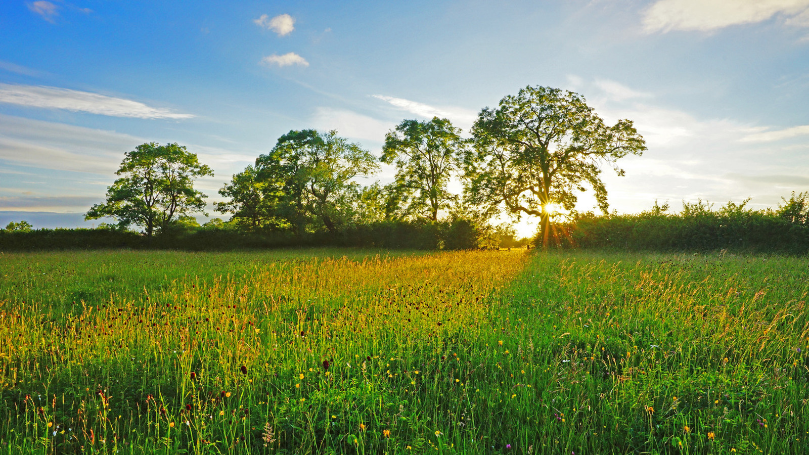 Image of Oxfordshire