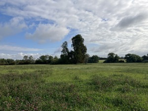 Shropshire, Telford and Wrekin picture 1