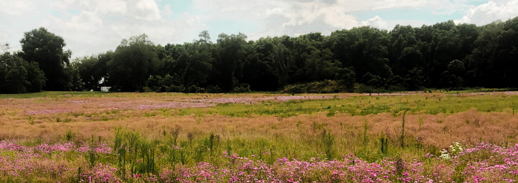 Image of Government response (1)