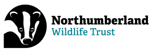 Logo of NWT primary logo