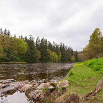 Image of Murthly Estate – Scotland 13