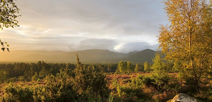 Cairngorm sunrise