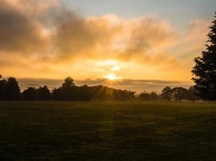 Cornbury Park 1