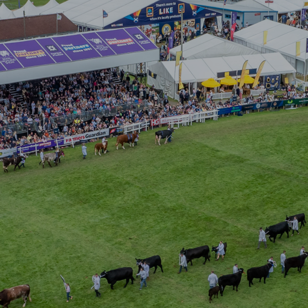 Image of Royal Highland show image