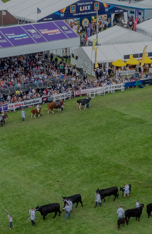 Image of Royal Highland show image