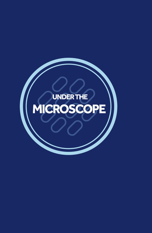 Under the Microscope