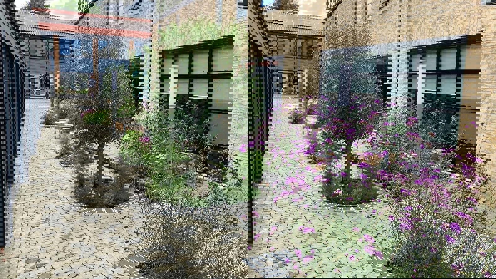 HSY 8 edit.jpg HSY 8 edit