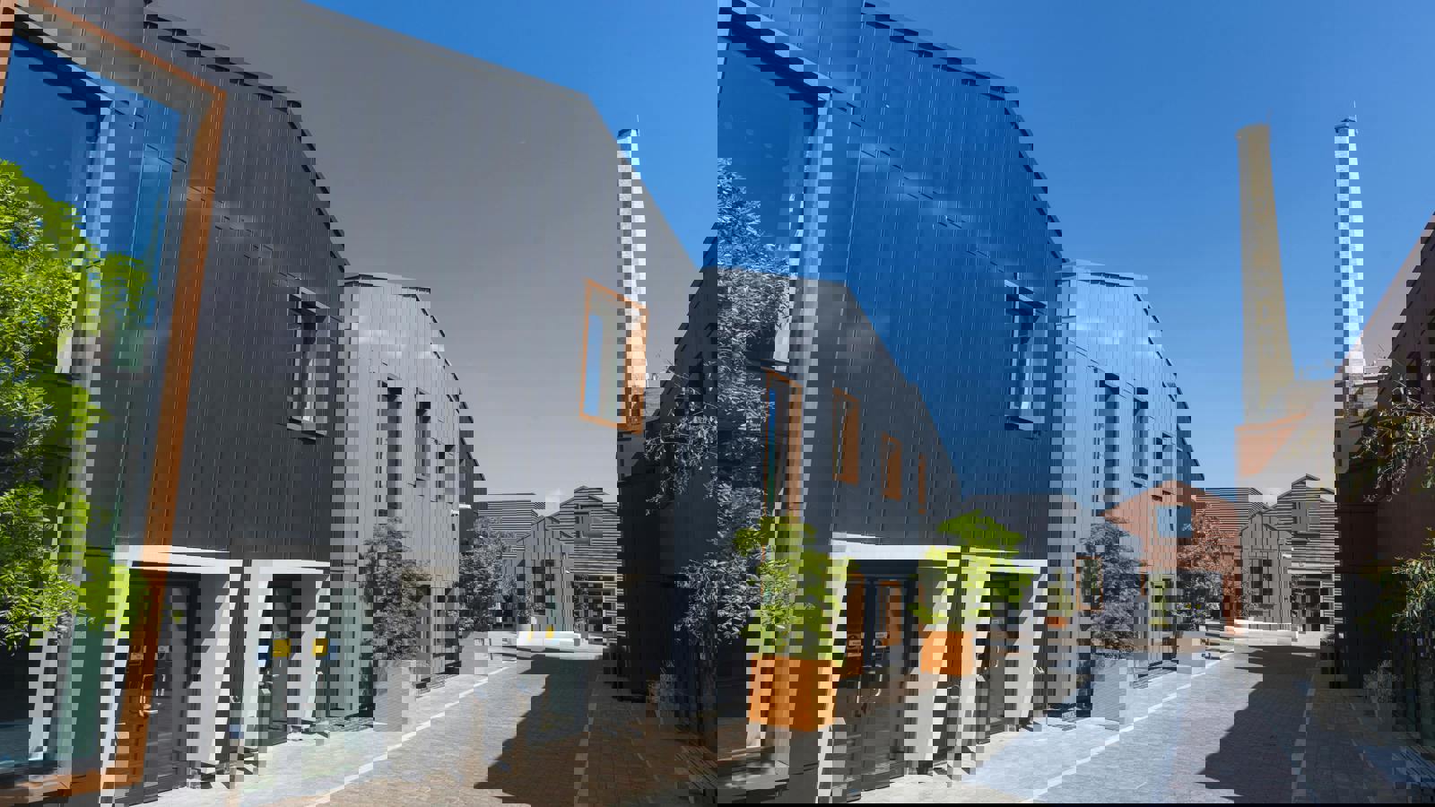 _IAC75110.jpg _IAC7519