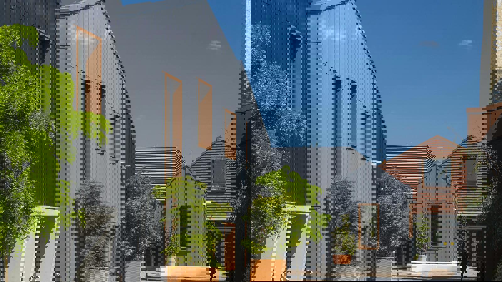 _IAC7543.jpg _IAC7542