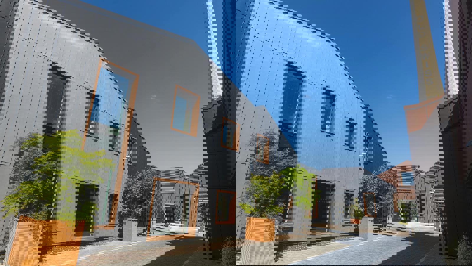 _IAC7583.jpg _IAC7582