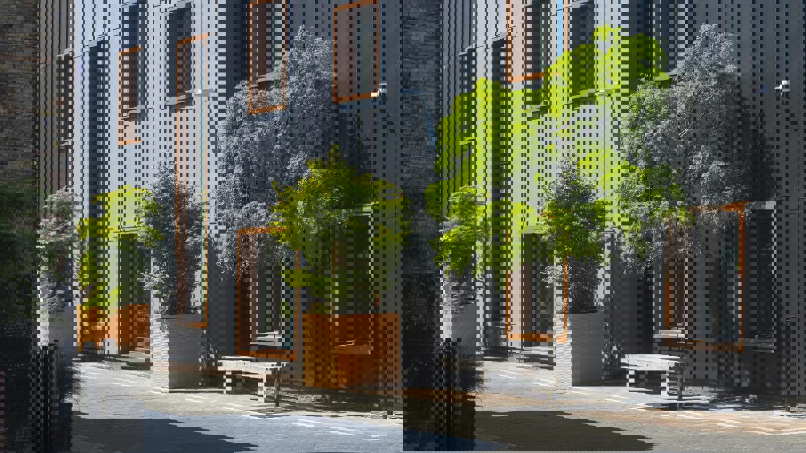 _IAC7601.jpg _IAC7600