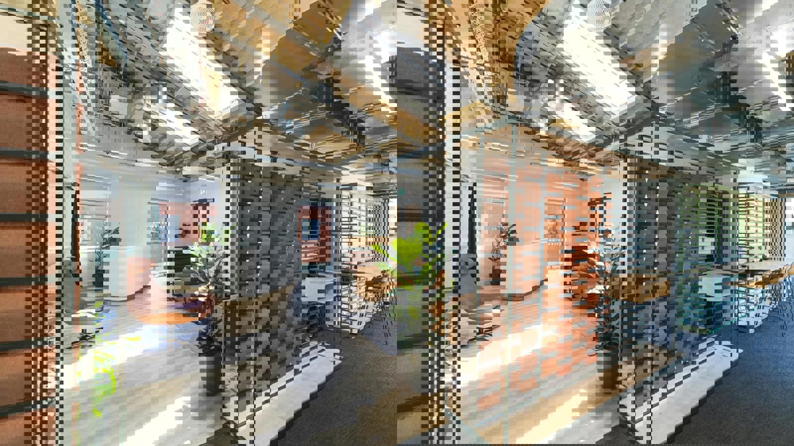 B_up_IAC7777  Copy1.jpg B_up_IAC7777  Copy