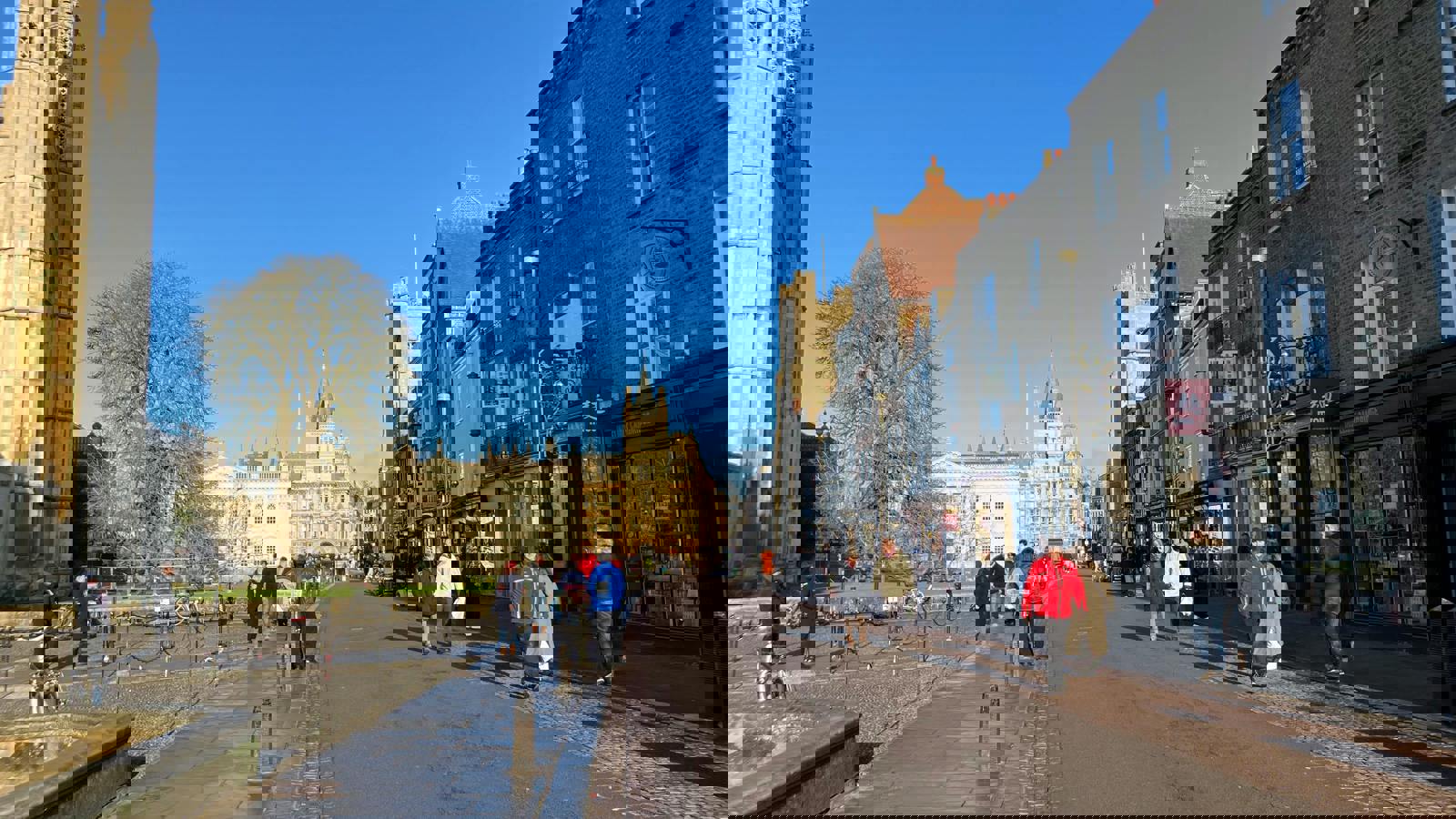 IMG_3885.jpeg IMG_3885