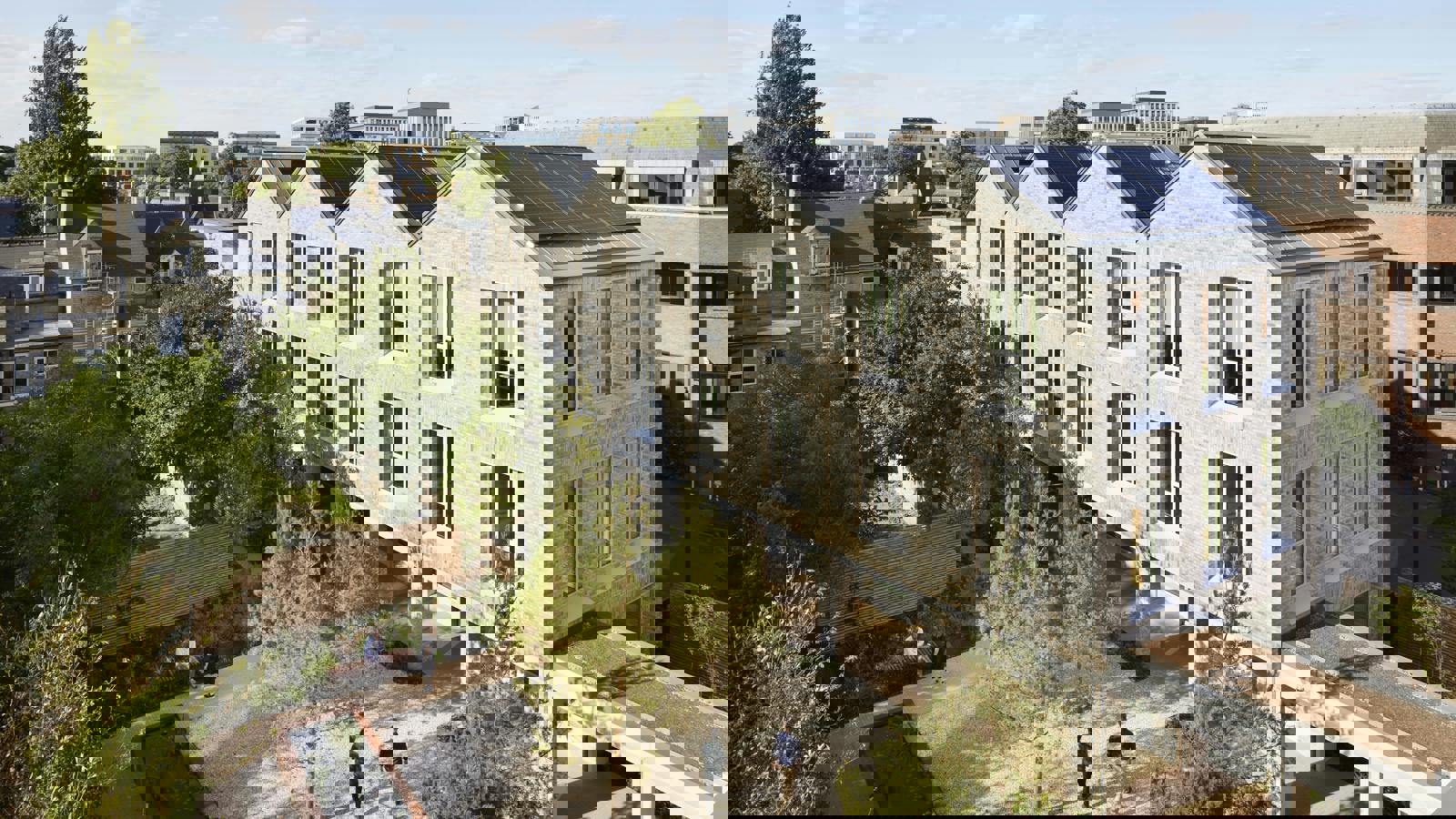 Image 1.jpeg Image 1