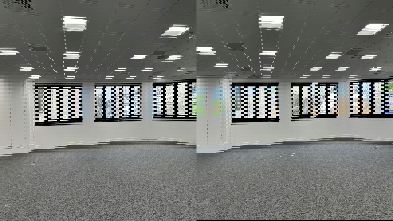 IMG_2252.jpg IMG_2252