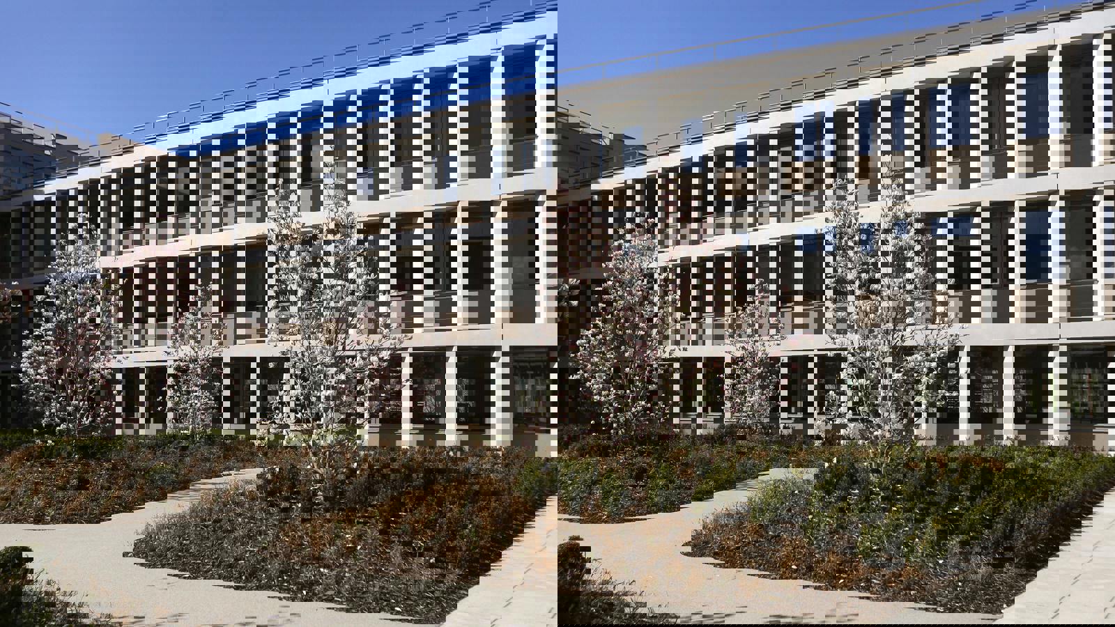 Camb Assessment083.jpg Camb Assessment083