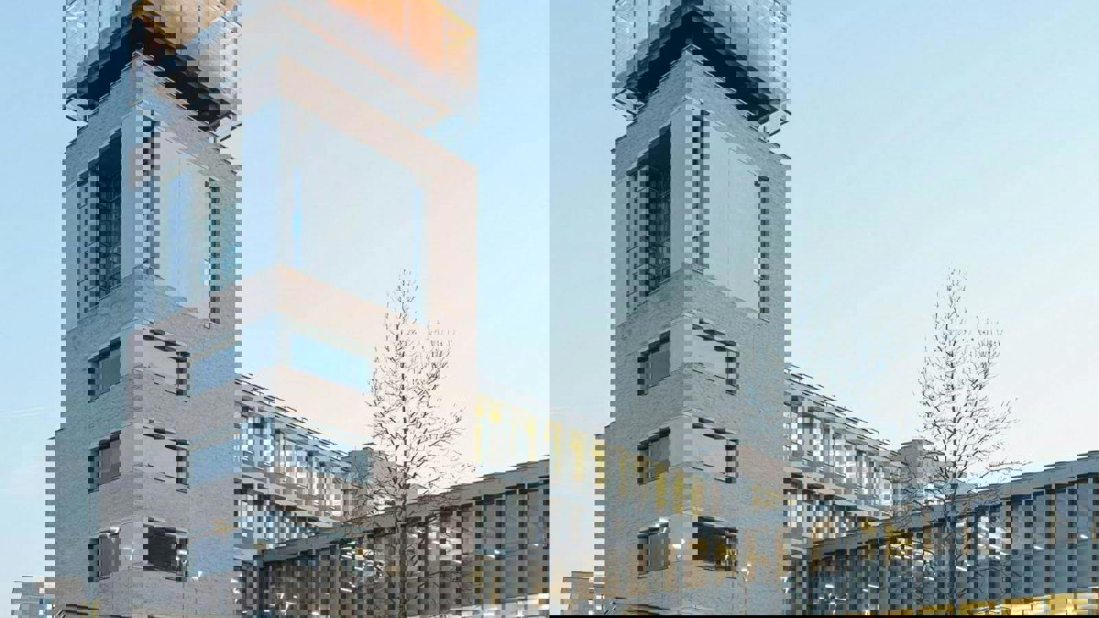 Triangletwitter.jpg Triangletwitter