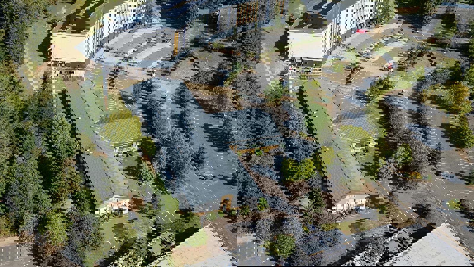 PhilMynott100825201.jpg PhilMynott100825201