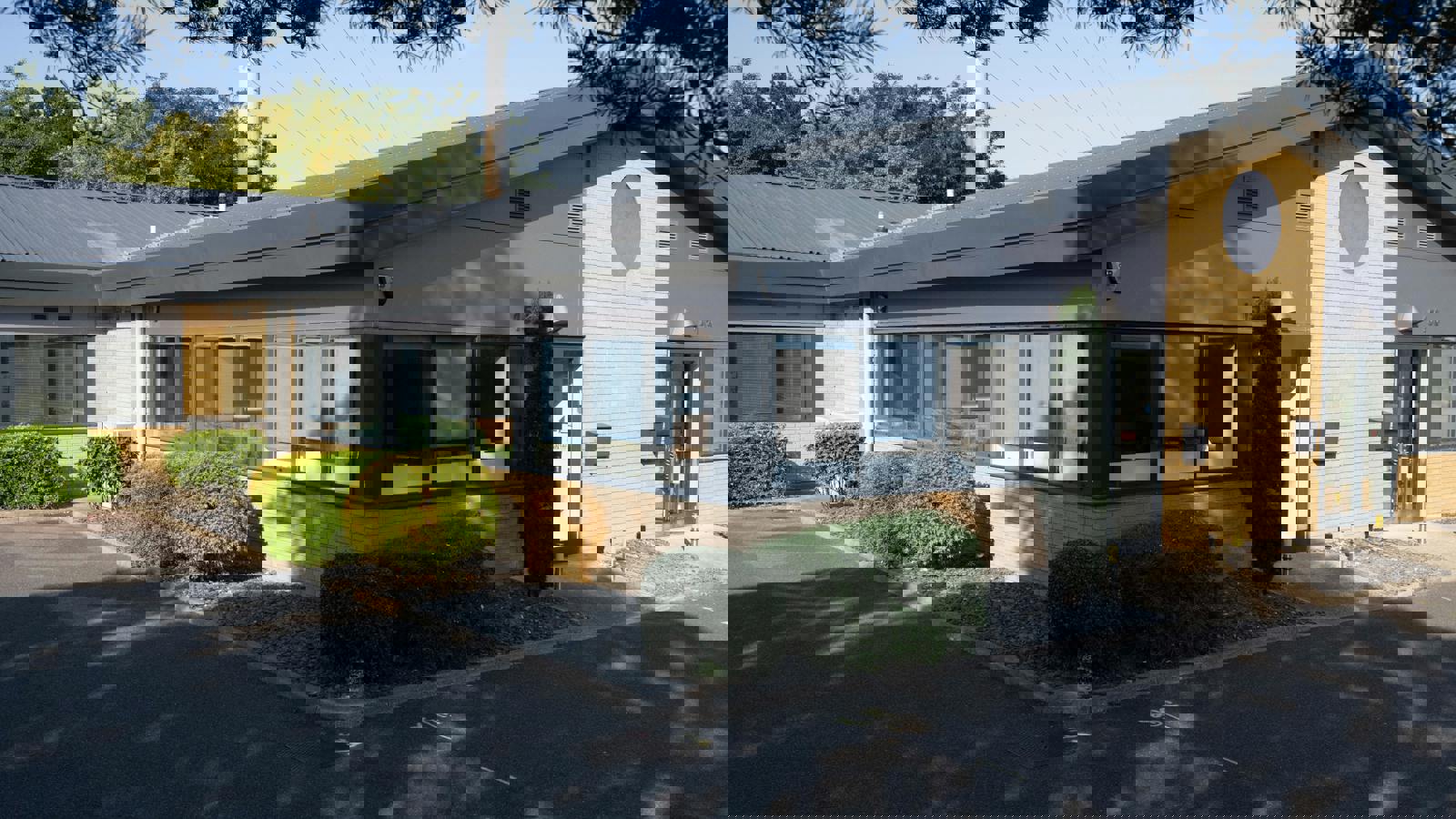 PhilMynott110825215.jpg PhilMynott110825215