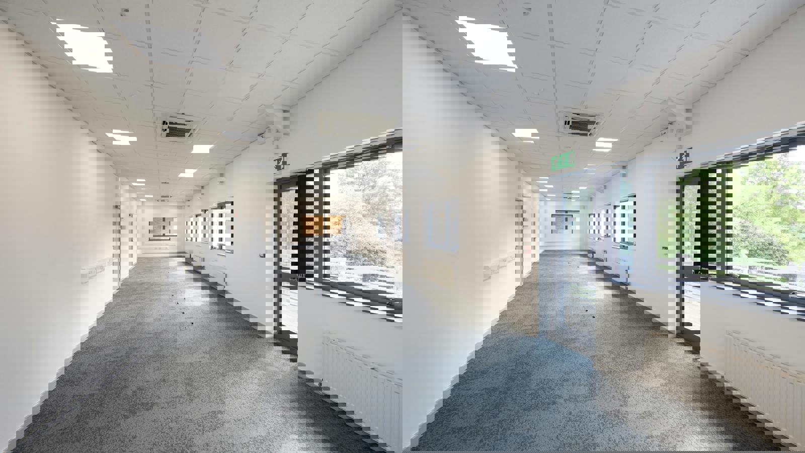 PhilMynott070825041.jpg PhilMynott070825040