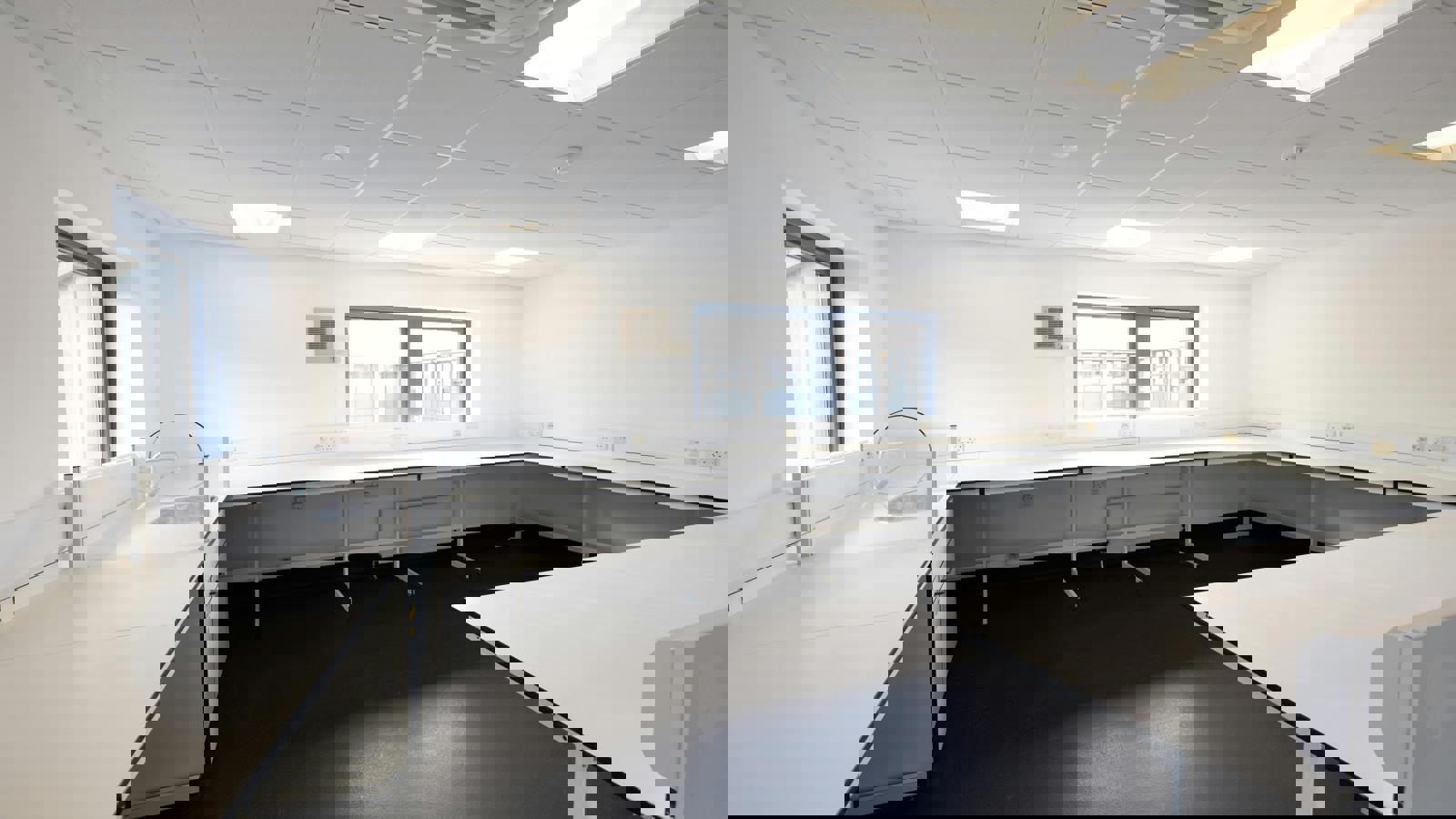 PhilMynott070825052.jpg PhilMynott070825051