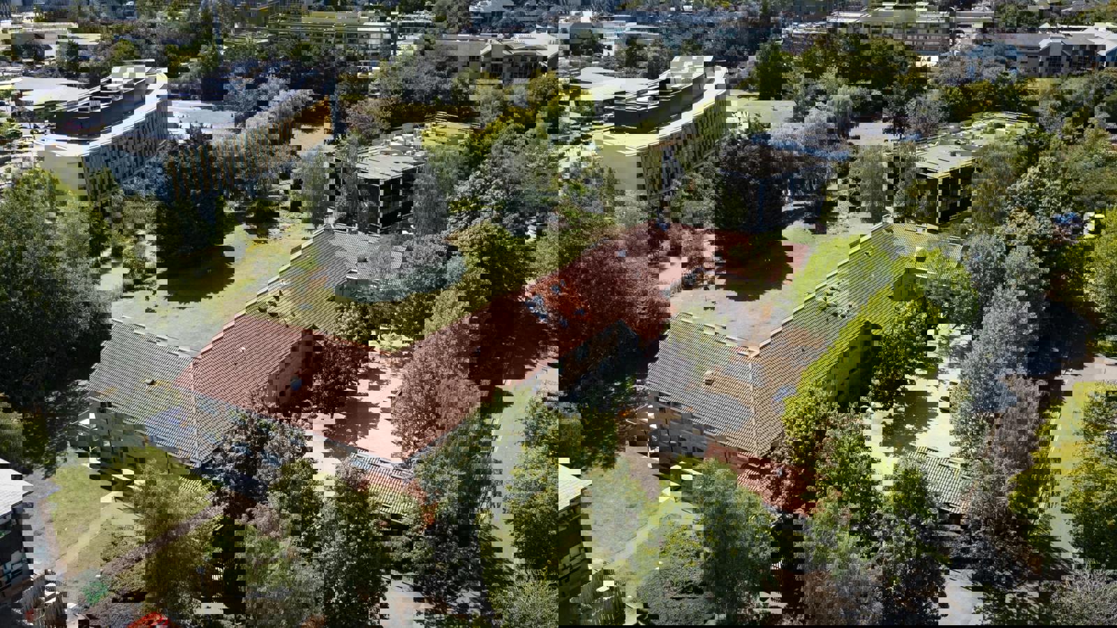 PhilMynott080825121.jpg PhilMynott080825120