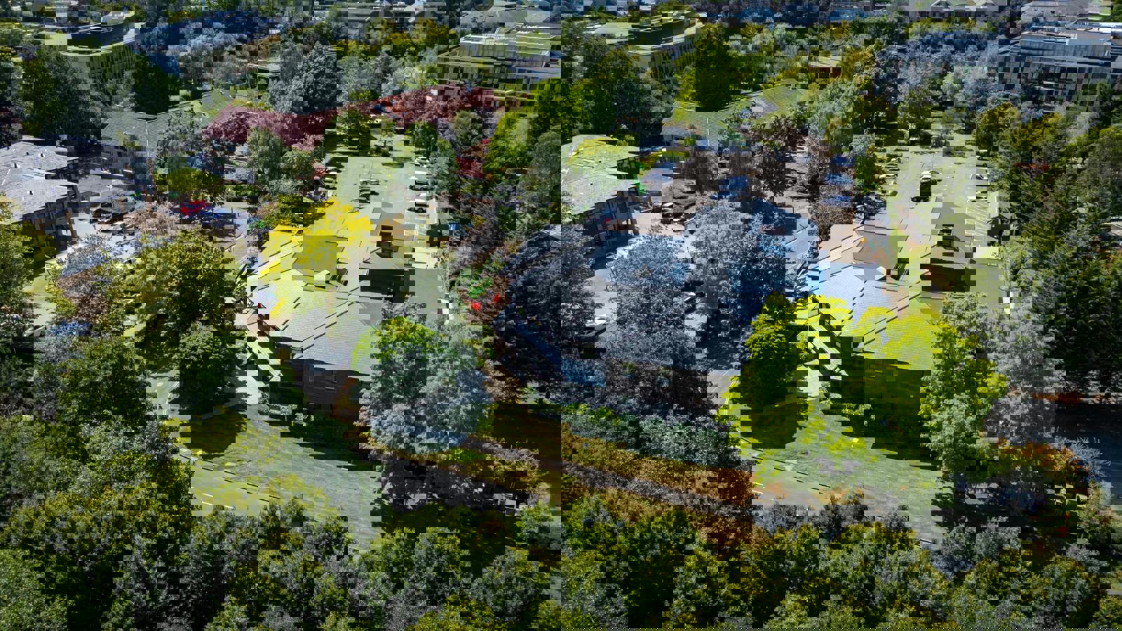 PhilMynott080825119.jpg PhilMynott080825119