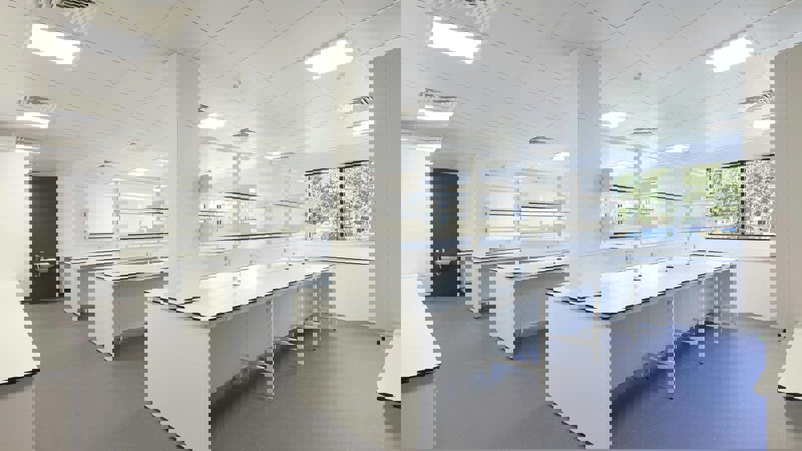 316_CSP0031.jpg 316_CSP0030